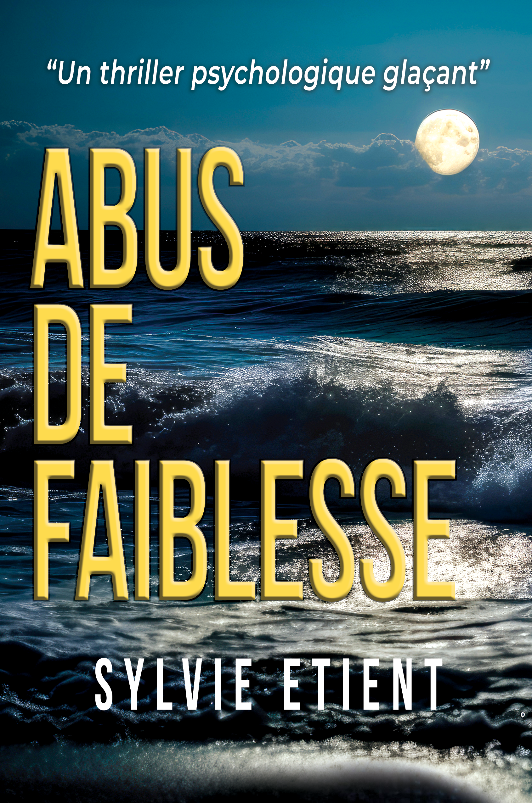 Sylvie ETIENT : ABUS DE FAIBLESSE | monBestSeller.com