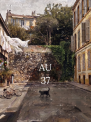 Au 37