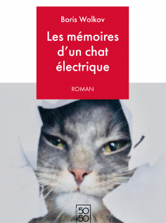MEMOIRES D'UN CHAT ELECTRIQUE