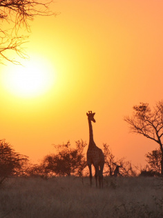 DETOURS AFRICAINS