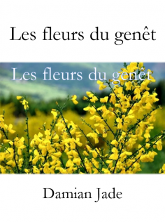 Les fleurs du genêt