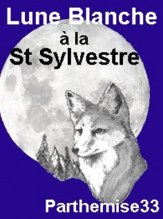 Lune Blanche à la St Sylvestre
