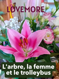 L'arbre, la femme et le trolleybus
