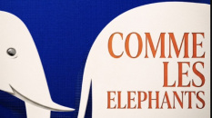 Télécharger gratuitement sur monBestSeller COMME LES ELEPHANTS publié par P.W. DARD 