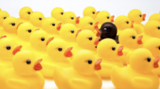 Lire en ligne l’ebook gratuit Les vilains petits canards d’Antoine Solaire