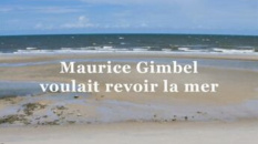 Télécharger gratuitement Maurice Gimbel voulait revoir la mer de Pierre Guini