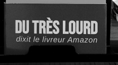 Un manifeste à lire gratuitement sur monBestSeller Manifeste de l'Écrivain Pirate - Gratuit publié par François Belley