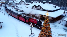 Noël est un espace temps propice à la littérature : romance, policier, horreur