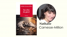 Ses ailes de géant de Nathalie Carnesse-Million. Un roman noir sentimental et fraternel. en vente sur monBestLibraire.com