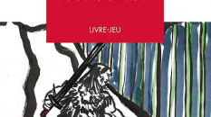 La Guerre des Guildes de Nicola Niclass 