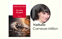 Ses ailes de géant de Nathalie Carnesse-Million. Un roman noir sentimental et fraternel. en vente sur monBestLibraire.com