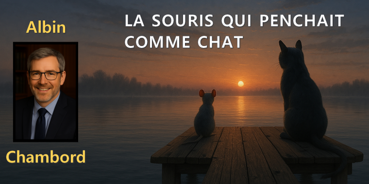 Lire en ligne sur monBestSeller La souris qui penchait comme chat ou Un homme presque parfait publié par Albin Chambord 