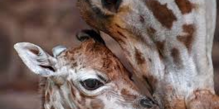 Rencontrer pour la première fois une personne que vous connaissez intimement est une expérience unique