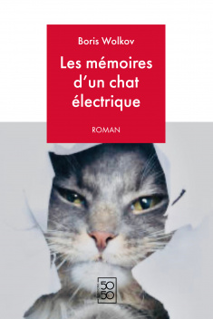 Boris Wolkov - Les mémoires d'un chat électrique