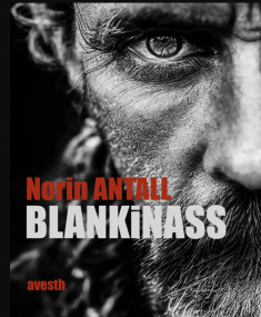 Lire en ligne gratuitement sur monBestSeller BLANKiNASS, un thriller signé Norin Antall