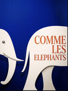 Télécharger gratuitement sur monBestSeller COMME LES ELEPHANTS publié par P.W. DARD