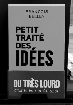Un manifeste à lire gratuitement sur monBestSeller Manifeste de l'Écrivain Pirate - Gratuit publié par François Belley