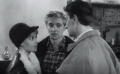 Lire en ligne le roman Polyamour publié par Nadav